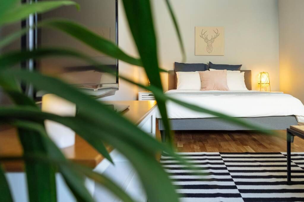 Apartment Good Vibes *